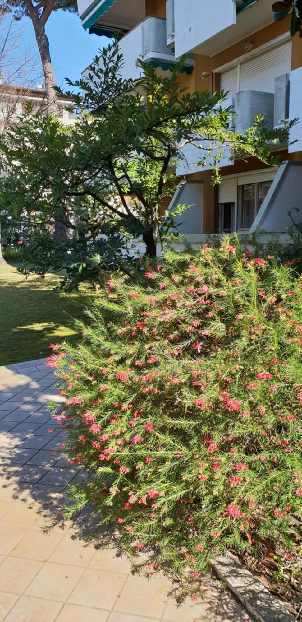 Versilia Apartment Forte dei Marmi Exterior photo